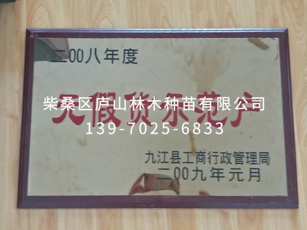荣誉资质