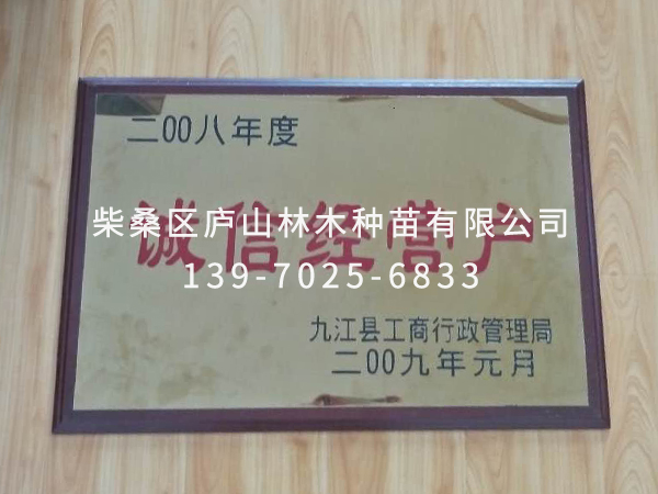 荣誉资质