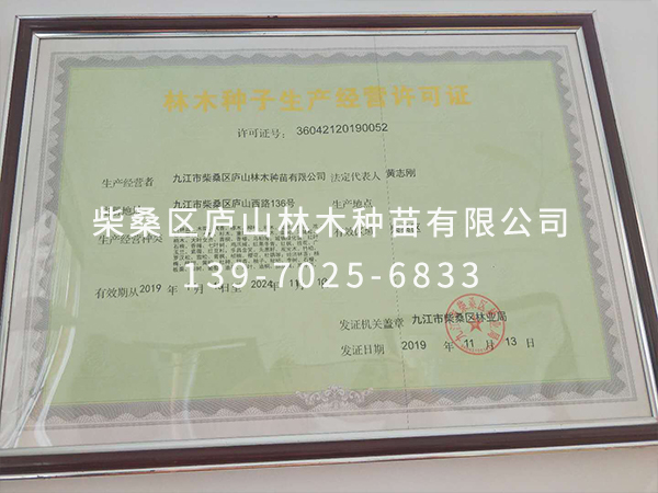 荣誉资质