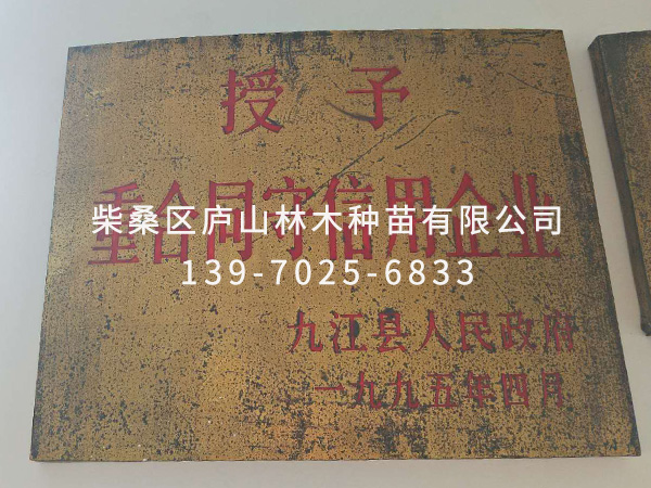 荣誉资质